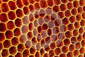 Yellow Honeycomb closeup structure