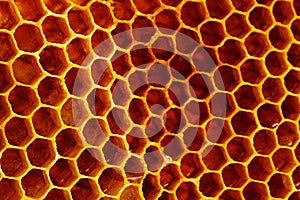 Yellow Honeycomb closeup structure