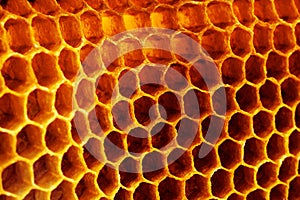 Yellow Honeycomb closeup structure