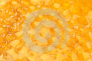 Yellow Honeycomb slice closeup