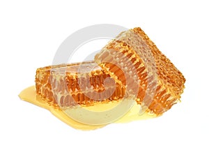 Yellow Honeycomb slice closeup isolated on white background