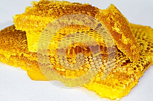 Yellow Honeycomb slice closeup isolated on white background