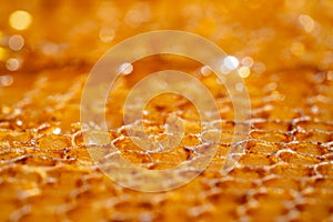 Yellow honeycombs with empty cells. Honeycomb frame with thick golden honey, different depth of field. Apiary. A sweet