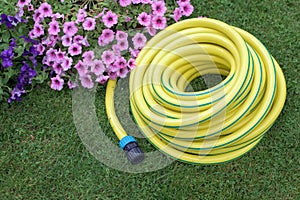 Yellow hose pipe on a grass