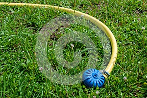 Yellow hose with sprinkler for watering plants. Drought and water conservation