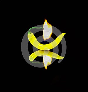Yellow hot pepper on fire