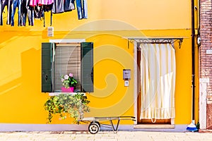 Yellow house with flowers and plants. Colorful houses in Burano island near Venice, Italy