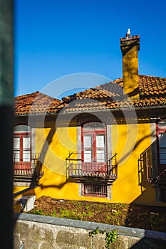 a yellow house with a metal hedge and a seagull on the chimney
