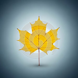 Yellow hue, adding depth and shadow beneath it, suggesting a