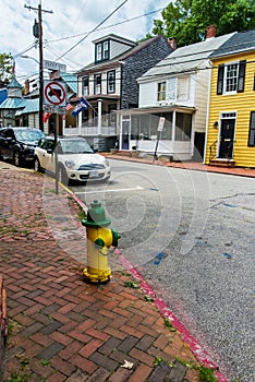 Yellow hydrant in a dormitory area of old Annapolis