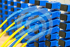 Yellow Internet wires are connected to the Optical Fiber Distribution Frame. Server patch panel. High-speed communication