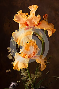 Yellow irises -beautiful bright fresh spring flowers