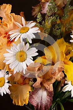 Yellow irises and chamomile -beautiful bright fresh spring flowers