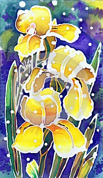 Yellow Irises of Watercolor. Floral Illustration.Handiwork Batik.