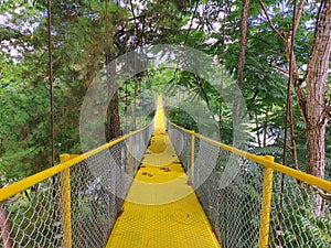 A yellow iron bridge to get to the other side of the lake