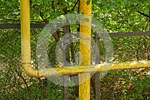 Yellow iron gas pipe at the fence overgrown with green vegetation