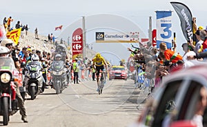 Yellow Jersey on Mont Ventoux - Tour de France 2013