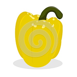 Bell pepper. Vector illustration. Yellow pepper on white background