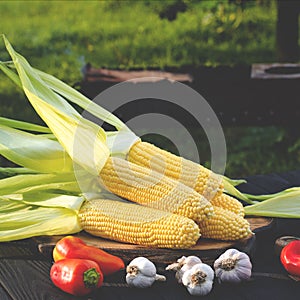 Yellow juicy corn with green leaves lies on a wooden table in the summer garden against the backdrop of a grill