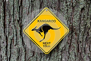 Yellow kangaroo warning road sign for next 10 km