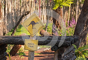 Yellow kangaroo warning sign