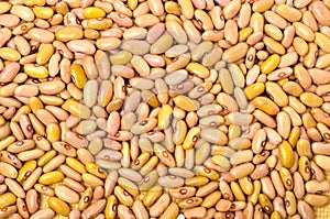 Yellow kidney beans background, texture