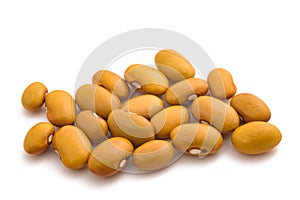 Yellow  kidney  beans