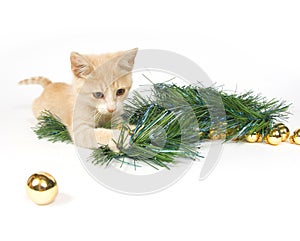 Yellow kitten playing with Christmas Decorations