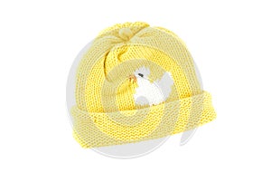 Yellow Knit Baby Hat