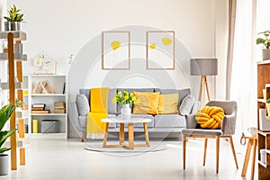 Yellow knot pillow on grey armchair in modern living room interior with posters above couch. Real photo photo