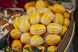 Yellow Korean melon Chinese melon in bulk on the Vietnamese market