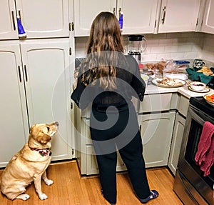 A yellow lab begging her owner for food in the kitchen during dinner. She is sitting right beside the woman, pleading with her ey