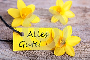 Yellow Label with Alles Gute