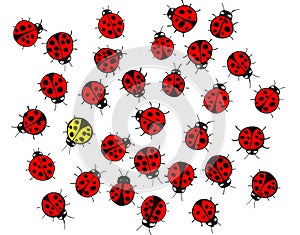 Yellow ladybug in the middle of a crowd of the red ones