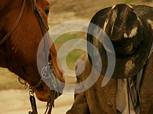 Yellow landscape horse cowboy hat wilde