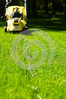 Yellow Lawn mower cut grass. Garden work. Electric Rotary lawn mower machine.