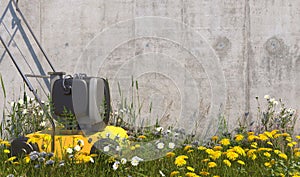 Yellow lawn mower stands near concrete wall with unshorn lawn, overgrown with weeds and wildflowers on a summer sunny day. Illustr