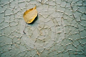 a yellow leaf on a cracked wall