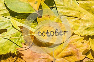 Yellow leaf with an inscription october