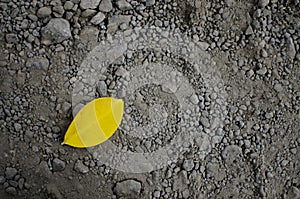 Yellow leaf on the sand and gravel of the courtyard