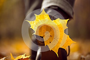 Yellow leaf stuck to the women`s shoe during a walk through the autumn forest.