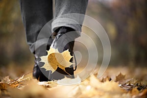 Yellow leaf stuck to the women`s shoe during a walk through the autumn forest.