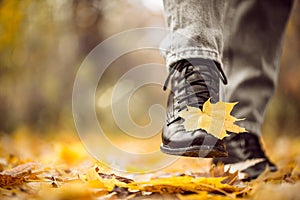 Yellow leaf stuck to the women`s shoe during a walk through the autumn forest.