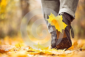 Yellow leaf stuck to the women`s shoe during a walk through the autumn forest.