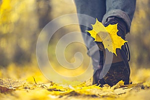 Yellow leaf stuck to the women`s shoe during a walk through the autumn forest.