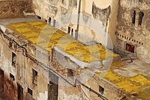 Yellow leathers drying on the sun i tannery in Fez.