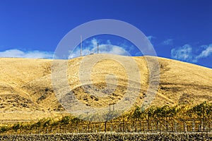 Yellow Leaves Vineyards Red Mountain Benton City Washington