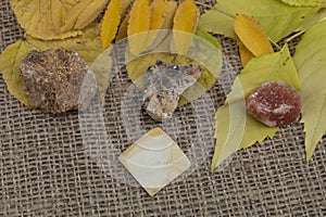 Yellow leaves and yellow semi-precious stones.