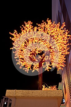 Yellow LED Tree with Dark sky background