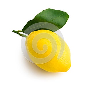 Yellow lemon